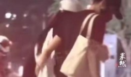 刘大锤爆料张艺凡视频播放,揭秘背后真相